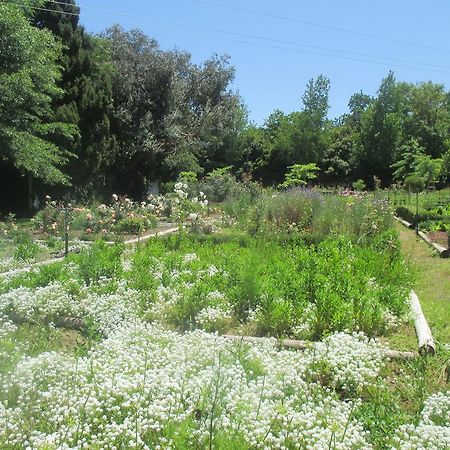 Muldersvlei Estate Hotel Stellenbosch Bagian luar foto