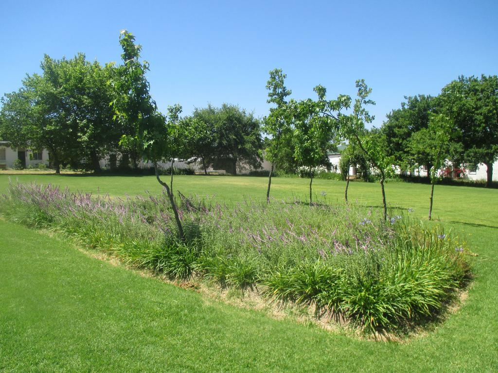 Muldersvlei Estate Hotel Stellenbosch Bagian luar foto