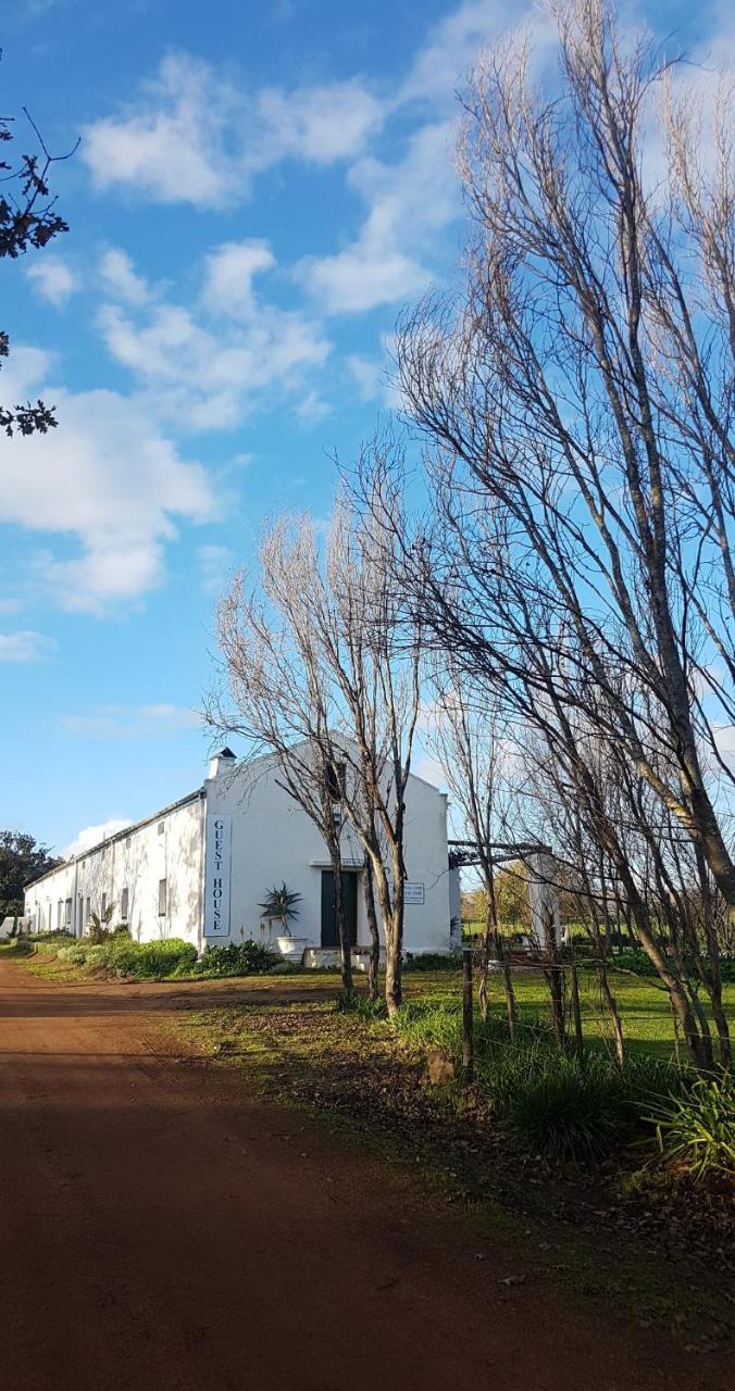 Muldersvlei Estate Hotel Stellenbosch Bagian luar foto